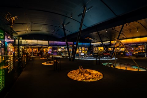 Laponie Finlandaise Inari Musée Siida