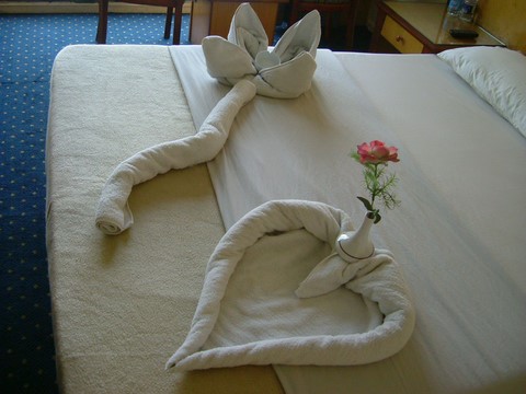 Fleur et coeur serviette croisière Egypte