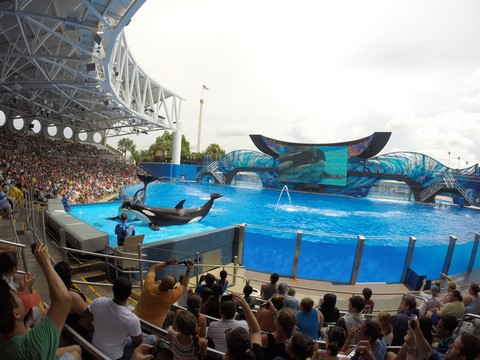 Sea World Orlando Floride Etats-Unis