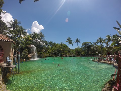 Coral Glabes Floride Etats-Unis