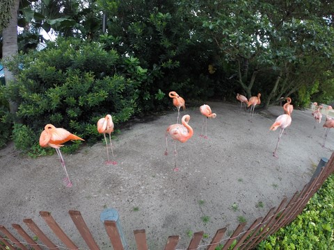 Sea World Orlando Floride Etats-Unis