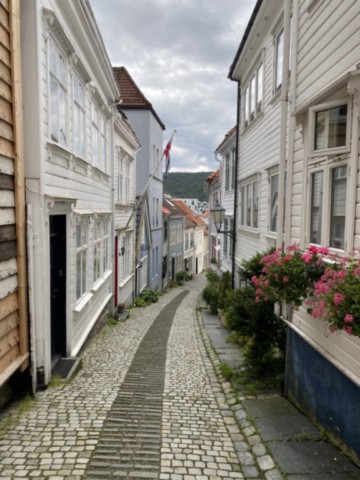 Bergen free tour Bergen Norvège