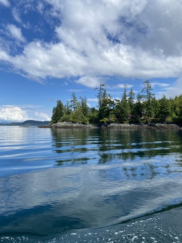 Fjord Orque zodiac whale watching Vancouver Island Telegraph Cove Canada