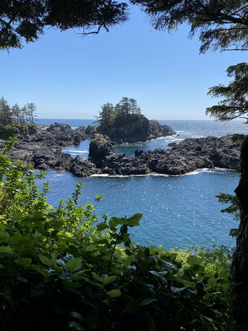 Wild Pacific trail Pacific Rim Vancouver Island Canada