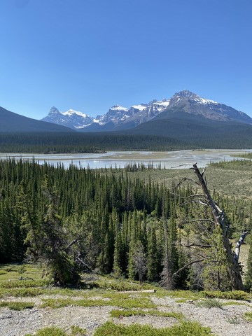 Saskatchewan River Crossing Banff National Park Icefileds Parkway Canada