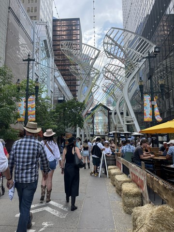 Stephan avenue Calgary Canada