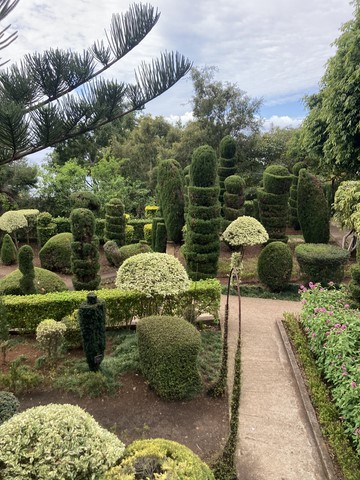 Jardin botanique 2 Funchal Madère