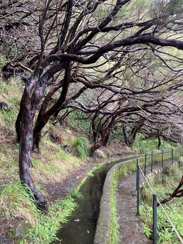 Levada das 25 Fontes 2 Madère