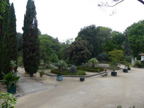 Le jardin des plantes de Montpellier