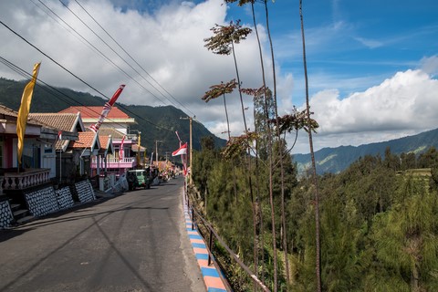 Retour vers Ndgadisari Mount Bromo Java Indonésie