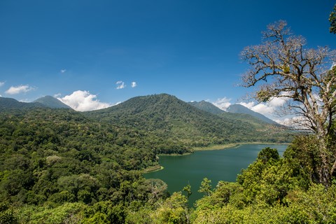 Lacs jumeaux Buyan et Tamblingan Munduk Bali Indonésie
