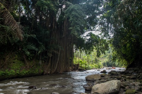 Rafting Ubud Bali Indonésie