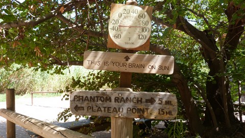 Indian garden Grand Canyon bright angel trail Etats-Unis