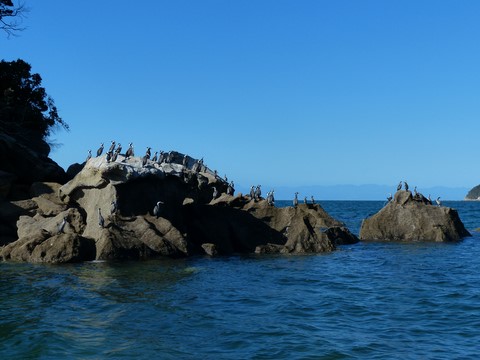 Abel Tasman Nouvelle-Zélande