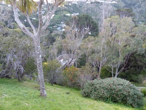Wellington Botanic garden Nouvelle-Zélande