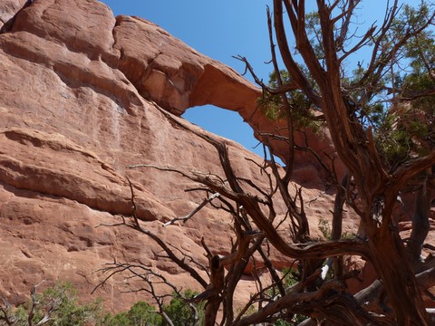 Skyline arch Arches national park Etats-Unis