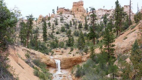 Mosy cave Bryce canyon Etats-Unis