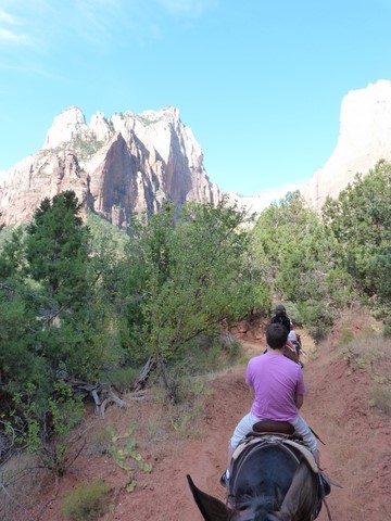 Cheval à Zion Etats-Unis