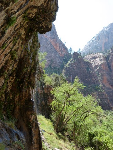 Weeping rock Zion Etats-Unis