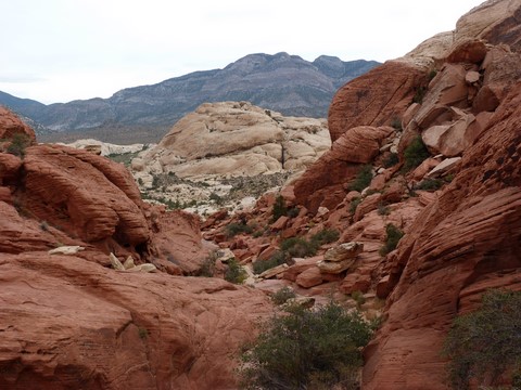 Red Rock canyon Etats-Unis