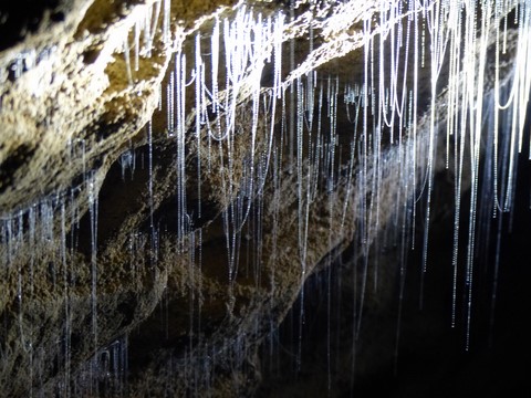 Grottes de waitomo Nouvelle-Zélande