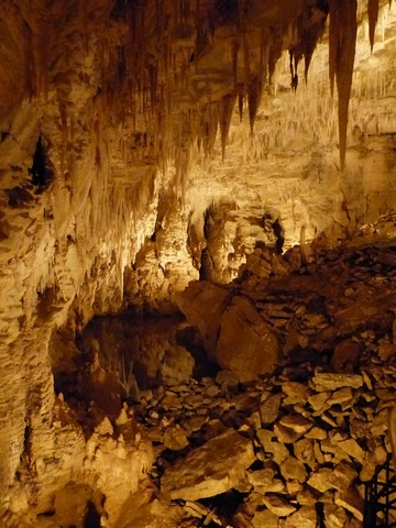 Grottes de waitomo Nouvelle-Zélande
