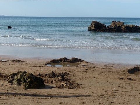 Hot water beach Nouvelle-Zélande