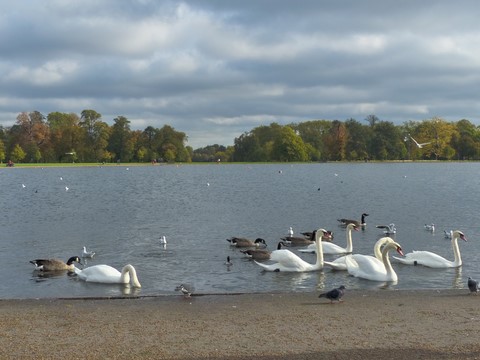 Kensington gardens Londres Angleterre