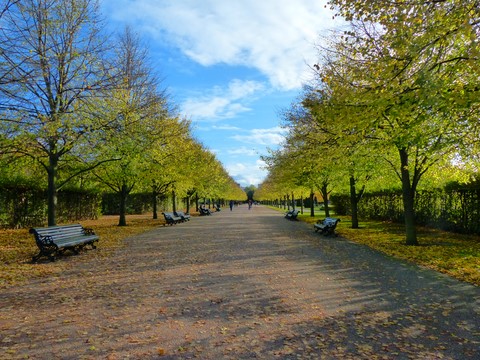 Regent's park Londres Angleterre