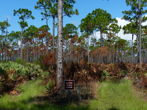 Jonathan Dickinson Floride Etats-Unis