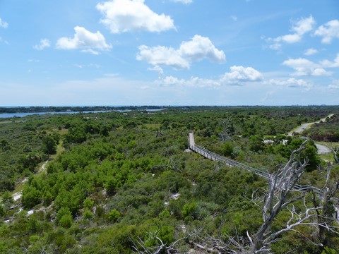 Hobe mountain observation tower Jonathan Dickinson Floride Etats-Unis