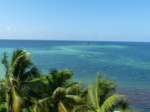 Big Pine key Bahia honda Floride Etats-Unis