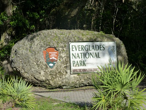 Les everglades Floride Etats-Unis