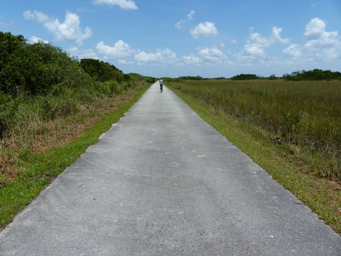Shark valley Les everglades Floride Etats-Unis