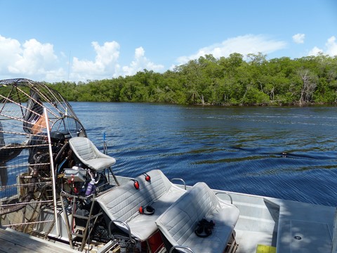 Airboat Jungle Erv's Les everglades Floride Etats-Unis