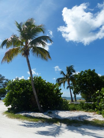 Sanibel Island Floride Etats-Unis
