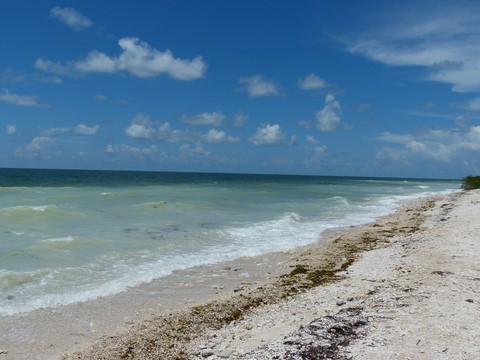 Honeymoon Island Floride Etats-Unis