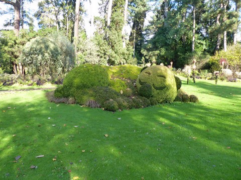 Dormanron Le jardin des plantes de Nantes