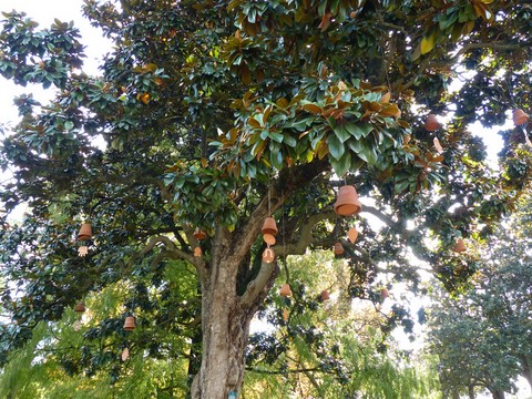Le jardin des plantes de Nantes