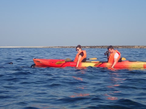 Kayak Kayak Pelican Point Walvis Bay Namibie