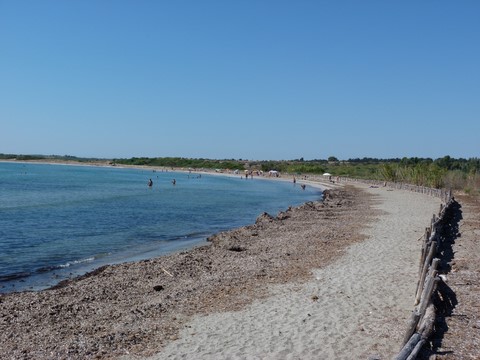 Reserve de vendicari Sicile