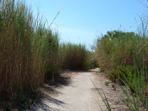 Reserve de vendicari Sicile