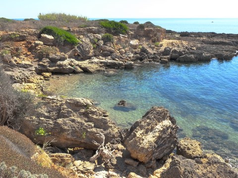 Reserve de vendicari Sicile