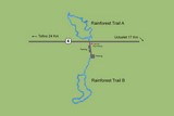 Rain forest trail Map